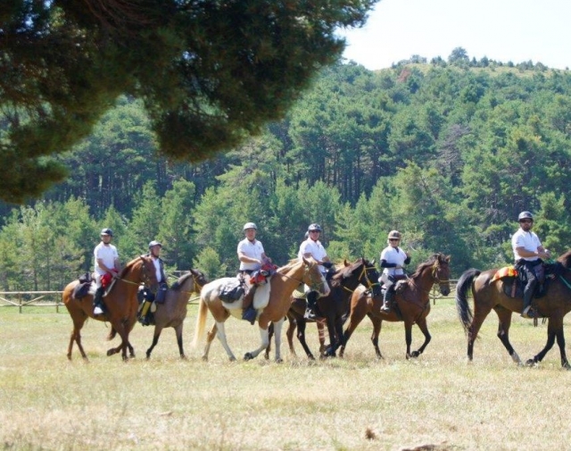 Excursion hipica desde la finca.jpg